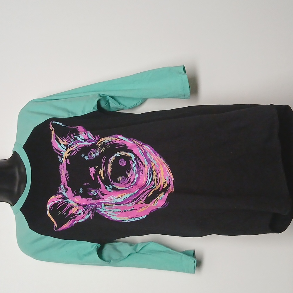 Crazy Train Teal Blk Pink Pig Graphic Raglan Longsleeves Shirt Size  Small EUC - Picture 2 of 7